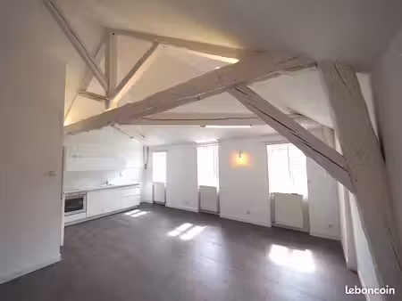 exclusivite vichy hyper-centre  67 m2  entièrement rénové