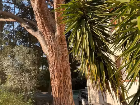 unique  bas de maison centre port au calme dans la nature