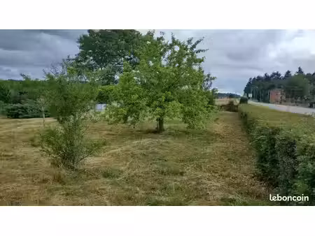 terrain a vendre
