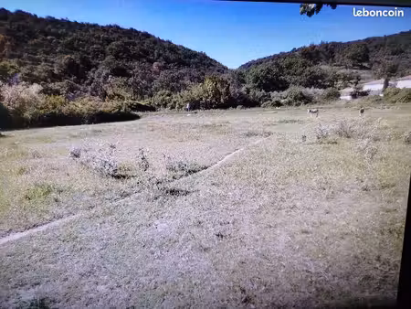 terrain agricole