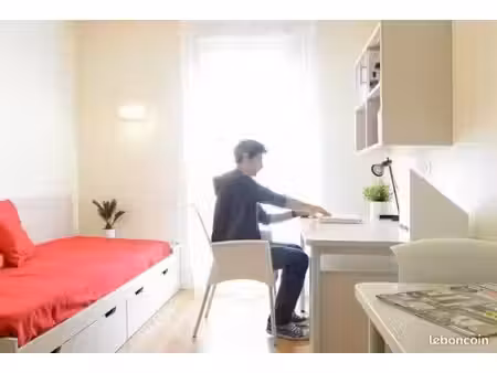 studio 1 pièce 24 m²