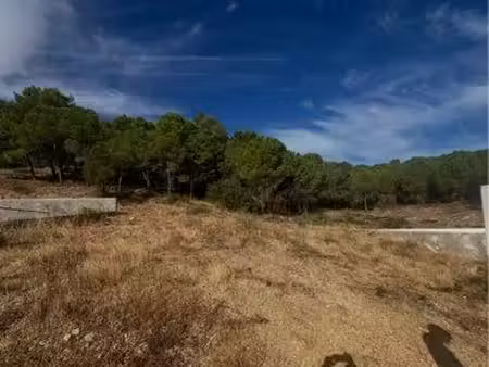 terrain 505 m2