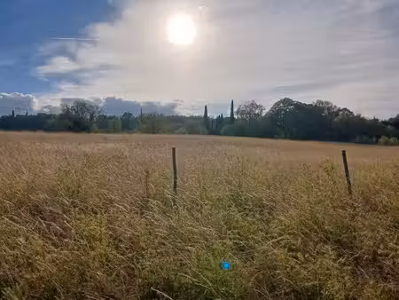 grand terrains agricole viabilisé