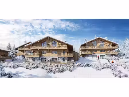 chalet mitoyen