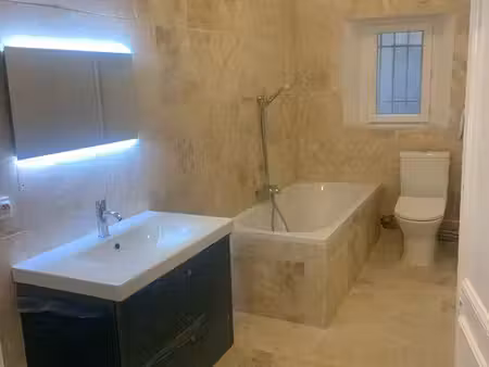 appartement t3 rénové - cœur de ville