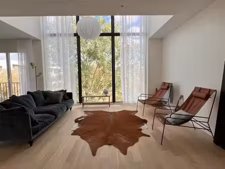 duplex avec terrasse sur les toits