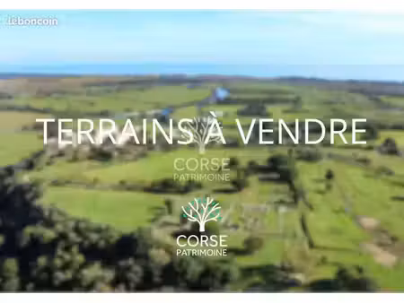 terrain aléria