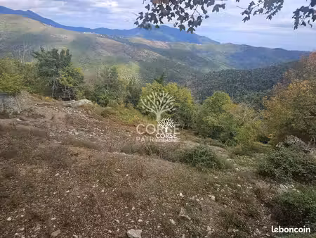 terrain pietraserena