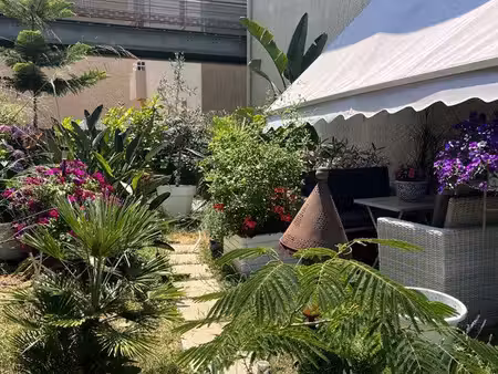appartement t2 pietrosella