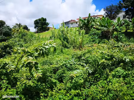 terrain ducos martinique