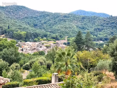 terrain 3 000 m² collobrieres