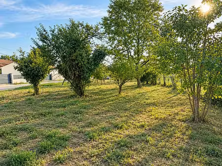 terrain constructible 1249 m2