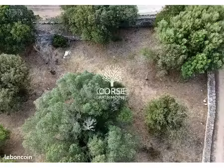 terrain 1848 m² bonifacio