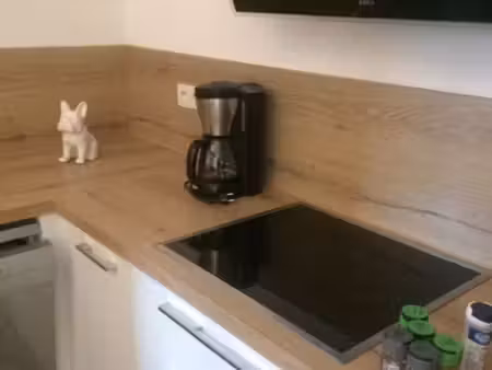 location appartement meublé t4