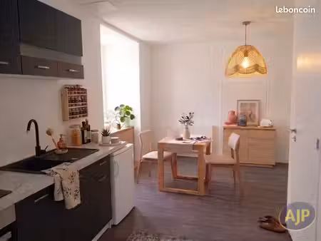 studio 1 pièce 22 m²