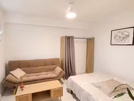 t1 bis meublé 45 m² avec cour privative - basse-terre centre
