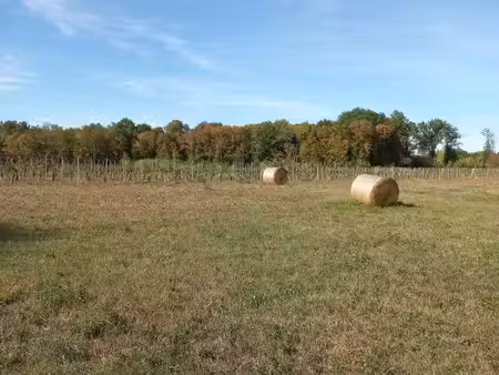 terrain à bâtir