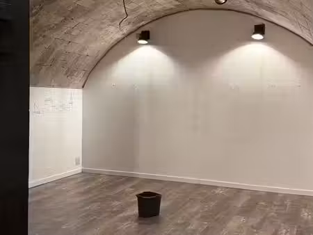 local commercial atypique – cave voûtée de 31 m²