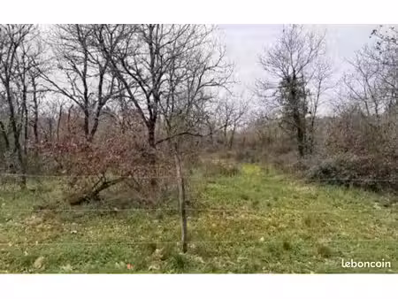 parcelle de taillis non constructible 32000m2