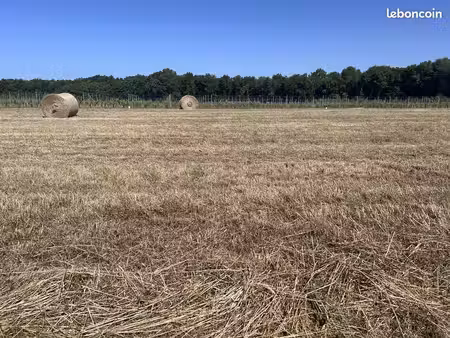 terrain à bâtir de 900 m² à louzac-saint-andre (16)
