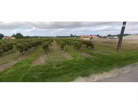 terrain 1 030 m² rouffiac