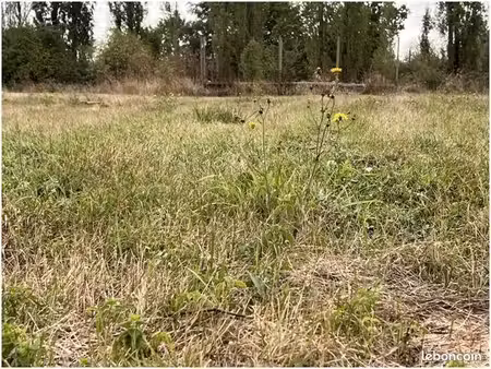 terrain à bâtir de 2235 m2 au prix de 55000 à agris (16)
