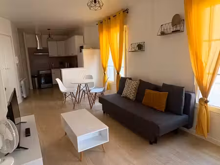 charmant t2 meublé 48m² avec cave – saint-martin-d'auxigny