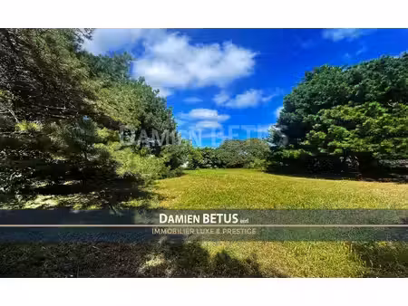 terrain à vendre de 1000 00 m² l'ile d'yeu (85)  saint-sauveur