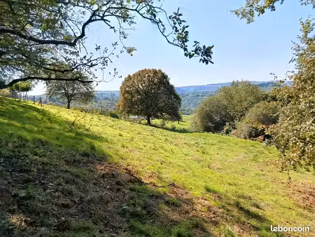 terrain constructible