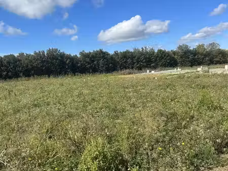 projet de construction d'une maison 76 m² avec terrain à la jarne (17)