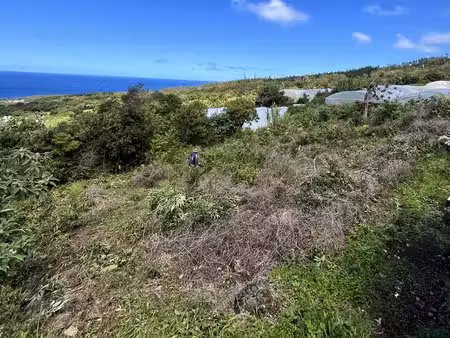 a vendre beau terrain constructible avec vue mer