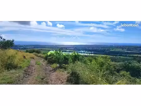 terrain 3 000 m² saint paul