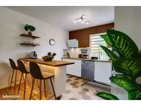 location appartement t4 100 m2 étang sale les bains