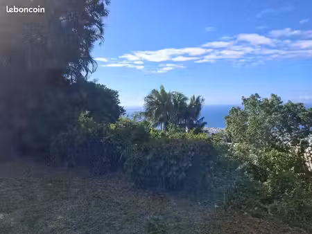 terrain 4800 m² belle pierre