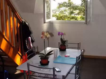 location studio 26 m² avec mezzanine - le tampon (proche fac) - parking