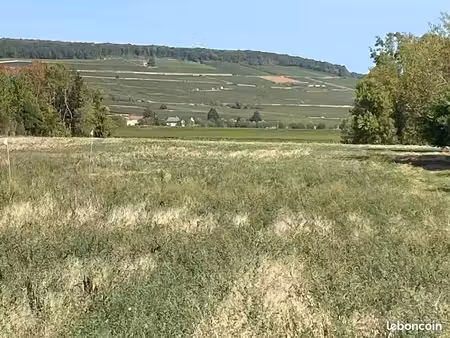 terrain chorey-les-beaune