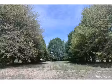 terrain à bâtir