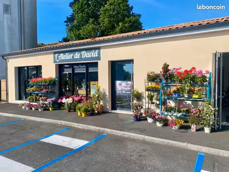local commercial 75 m² + espace extérieur 85m²