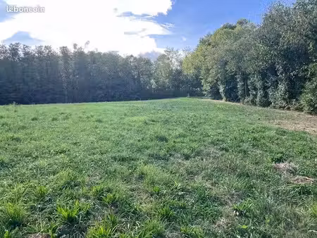 terrain 1 600 m² saint vincent le paluel