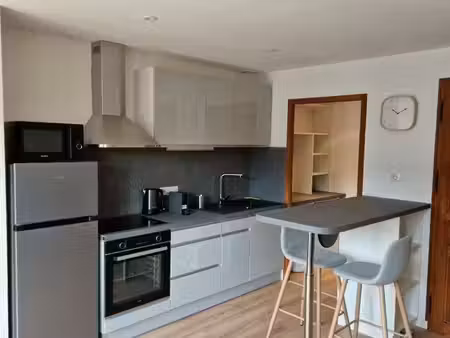 appartement 2 pièces au centre ville avec garage et balcons