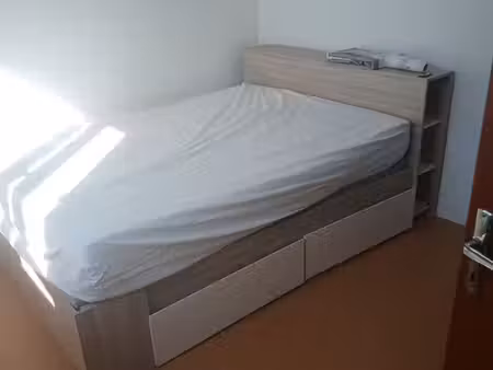 maison colocation