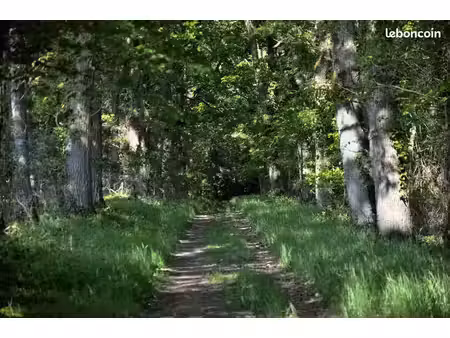 domaine forestier 32 ha – un lieu pour imaginer votre projet