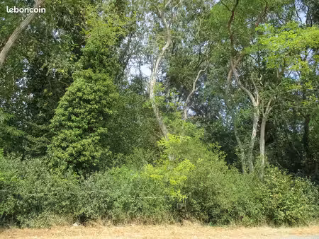 parcelle de bois 3 450 m² idéal investissement ou loisir