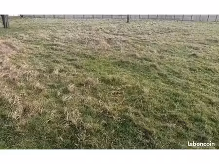terrain 1 001 m² colletot