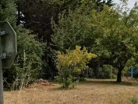 terrain constructible