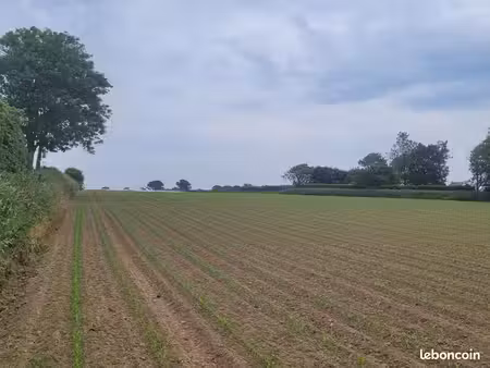 terrain 439 m² plouguerneau