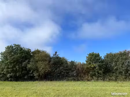 terrain 311 m² guipavas