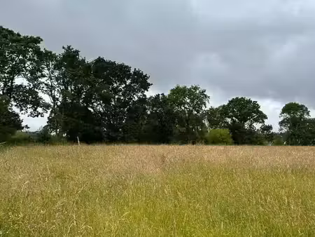 terrain 430 m² saint thonan