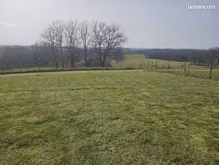 terrain constructible de 900 m2 le born + possibilité 1 5 ha agricole
