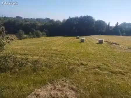 terrain lasserre de cazaux